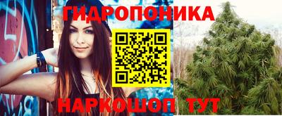МДПВ Тара
